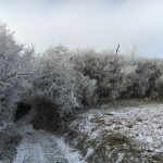 OCRE-Les Collines de Rixheim