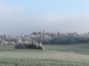 OCRE-Les Collines de Rixheim